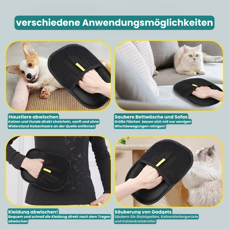Erleben Sie unbeschwerte Momente mit Ihrem Haustier!